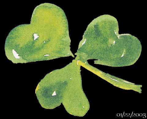shamrock1black.jpg